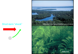 Aquatic Plant Abundance Mapping and Resilience! BioBase Automated Mapping